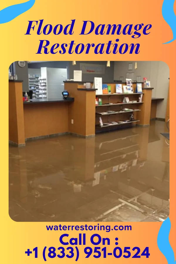 Flood Damage Restoration in Angus, TX