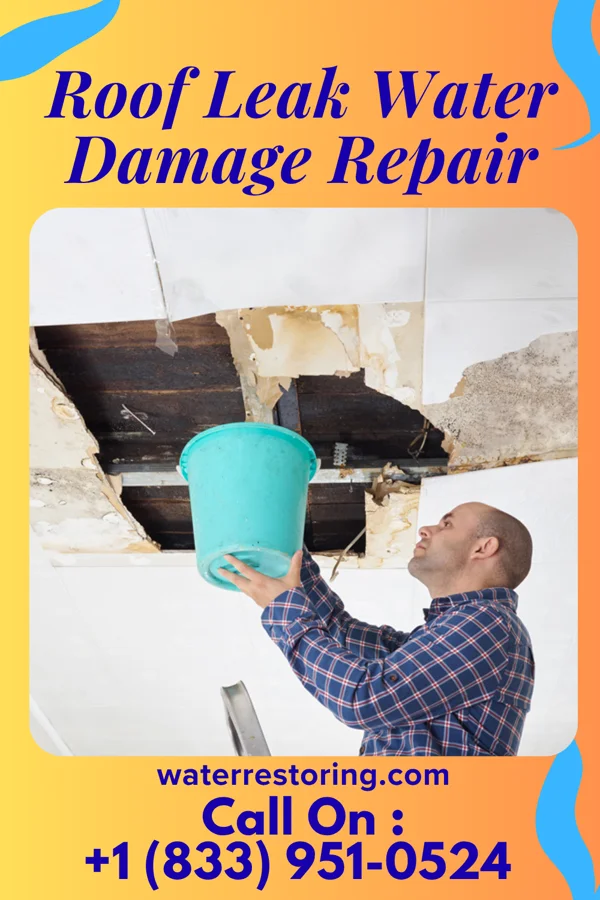 Roof Leak Water Damage Repair in Angus, TX