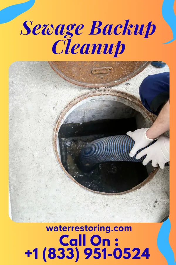 Sewage Backup Cleanup in Angus, TX