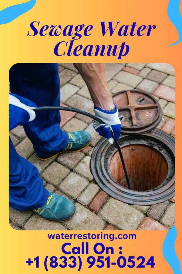 Sewage Water Cleanup in Angus, TX